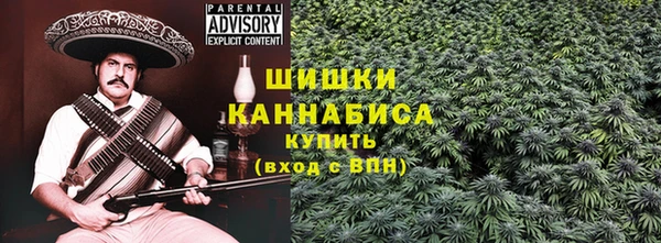 стаф Пестово