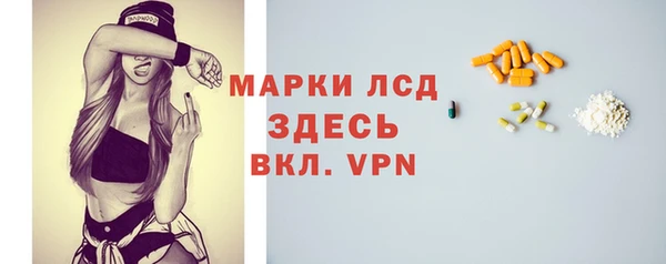 стаф Пестово