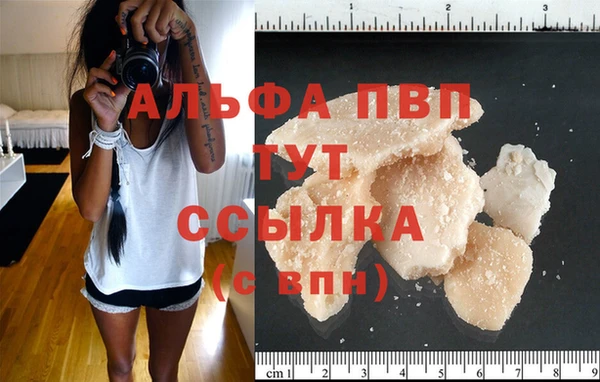 ПСИЛОЦИБИНОВЫЕ ГРИБЫ Переславль-Залесский