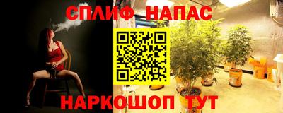 молекула духа Коммунар