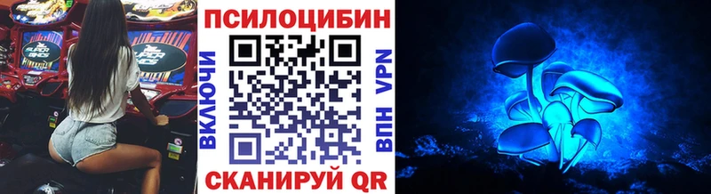 где найти   Кизляр  Псилоцибиновые грибы Psilocybe 