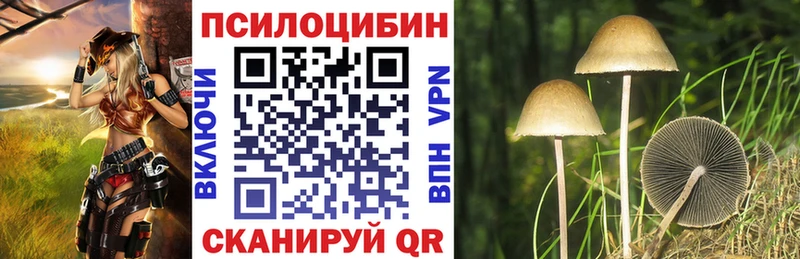 Псилоцибиновые грибы прущие грибы Кизляр