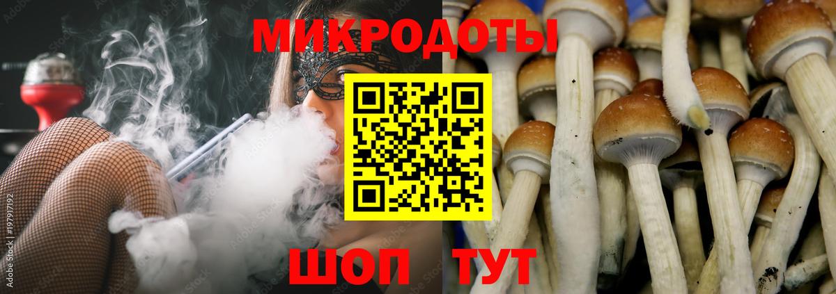 Псилоцибиновые грибы Psilocybine cubensis Кизляр